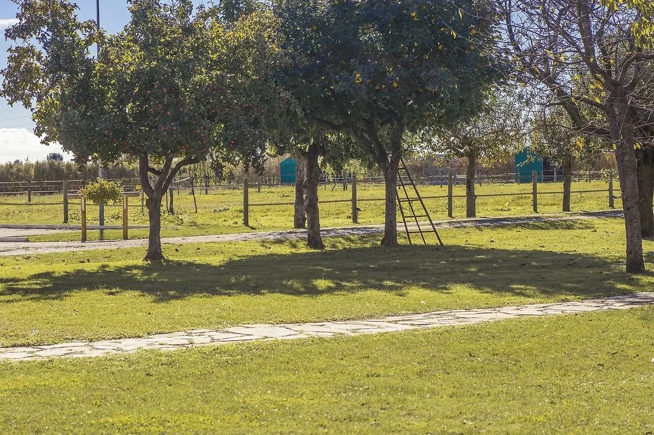 Ca' Ciaran Bed & Breakfast Chiarano