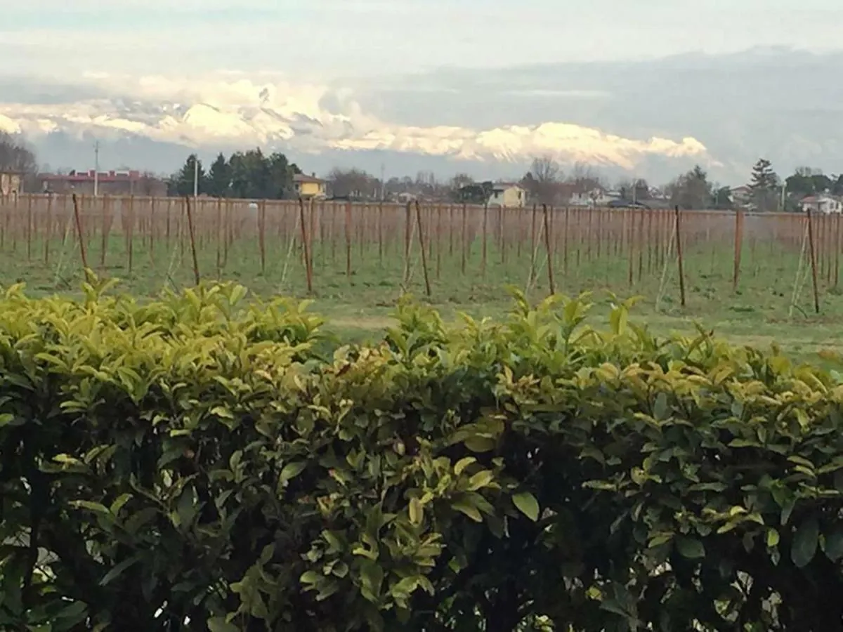 Ca' Ciaran Bed & Breakfast Chiarano Italy